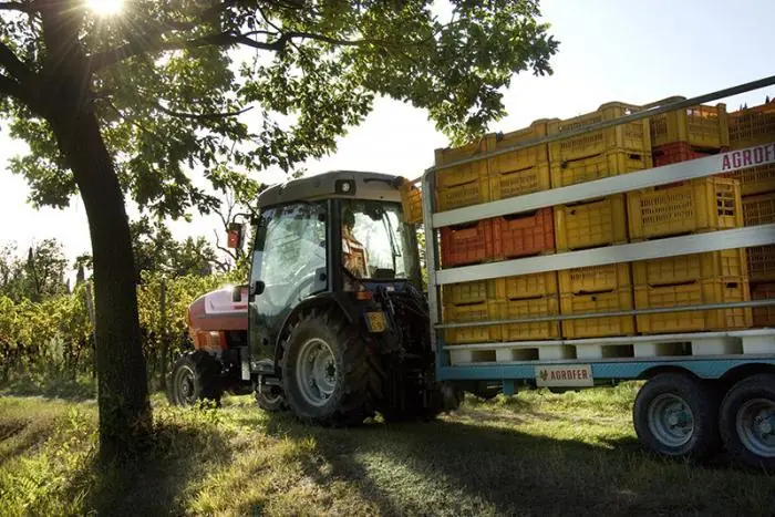 SAME Frutteto³ V 100 GS DT