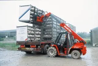 Manitou BT 425