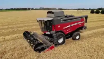 Massey Ferguson Beta 7360 PLI