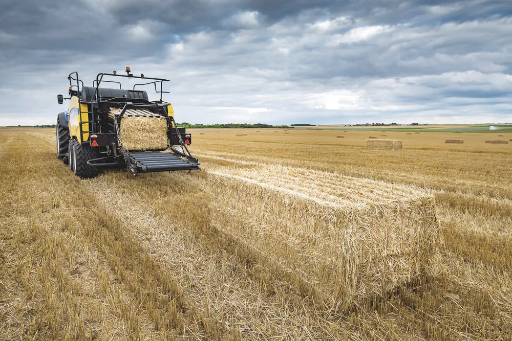 New Holland BB 1290 RC Plus thumbnail 32