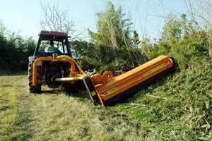 Berti TA 220 thumbnail 3
