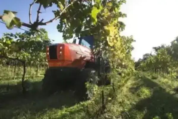 SAME Frutteto³ S 100 DT thumbnail 3