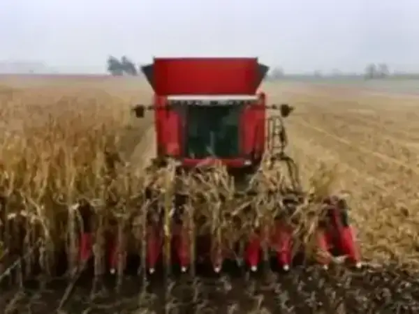 Massey Ferguson Fortia 9895