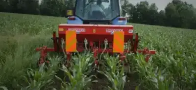 Maschio HP-4