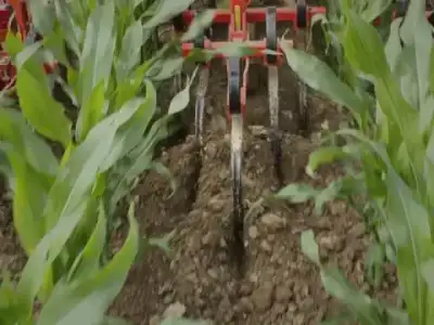 Maschio HP-4 thumbnail 2