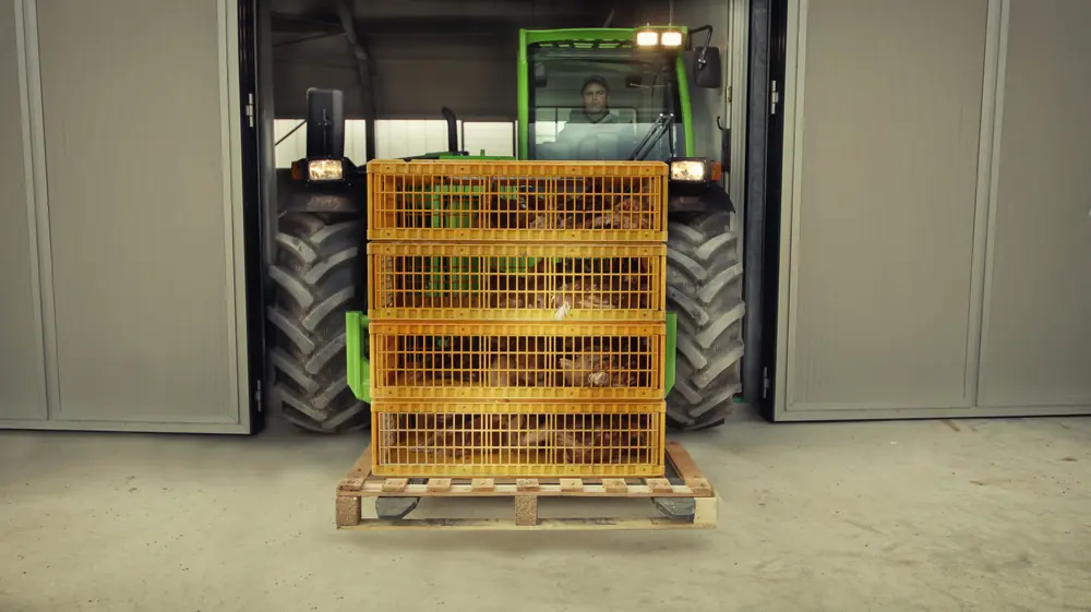 Merlo TF 30.9-115 thumbnail 9