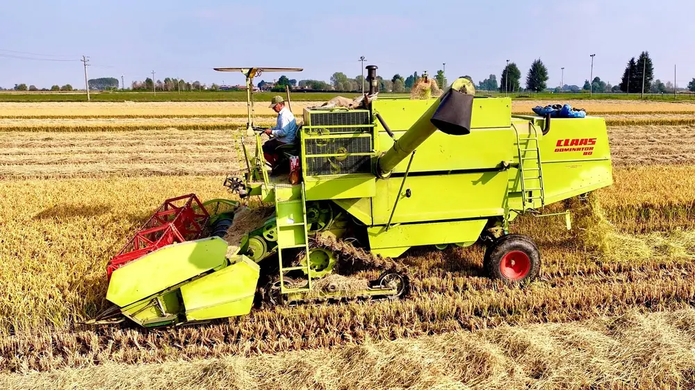 Claas Dominator 80