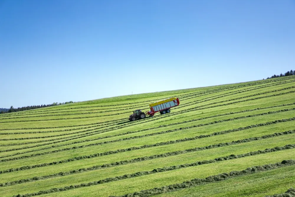 Pöttinger Primo 801 L