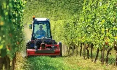 BCS Volcan L80 RS thumbnail 3