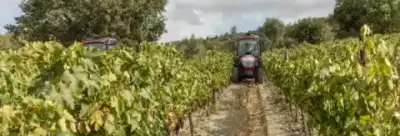 McCormick X4.100XL thumbnail 4