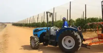 Landini Rex 3-90 F