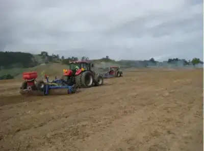 DAL-BO MaxiRoll 530