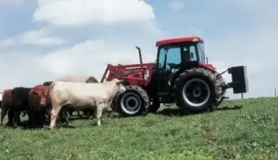 Case IH Farmall 55 C Komfort thumbnail 4