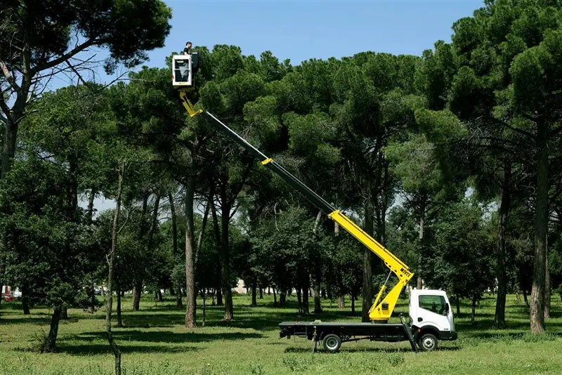 Movex P150 TLR