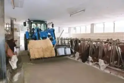 New Holland T 4.75 thumbnail 9