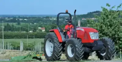 McCormick D 125 Max T-Tonic