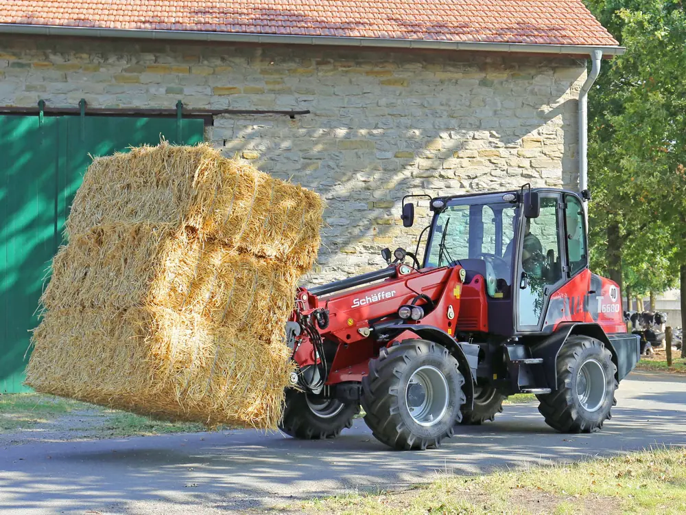 Schäffer 6680 T-3