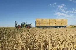 Claas Scorpion 7055 Biogas thumbnail 2