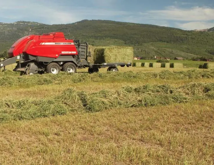 Massey Ferguson MF 2190 TP thumbnail 2