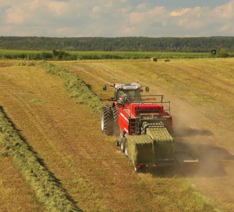 Massey Ferguson MF 2190 TP thumbnail 3