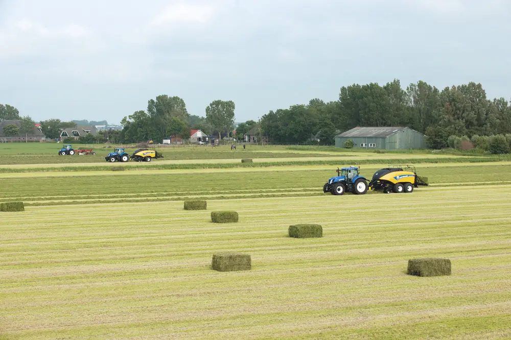 New Holland BB 1290 R thumbnail 9