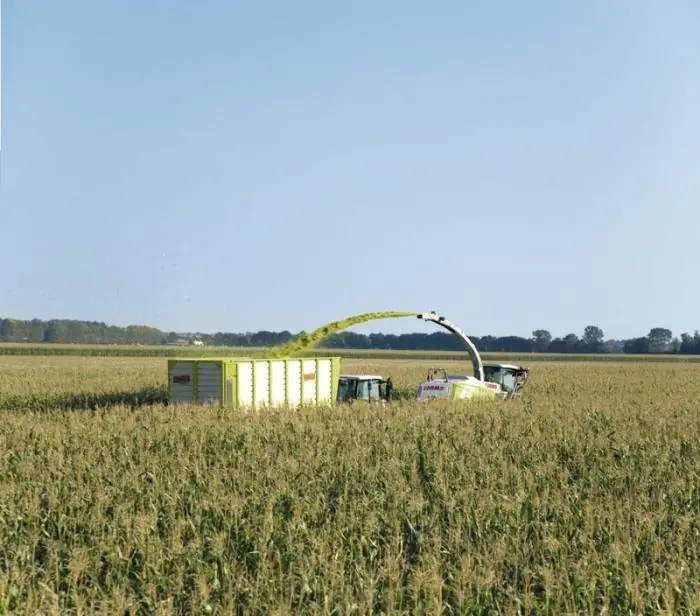 Claas Jaguar 980