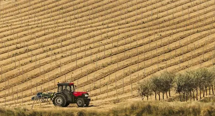 Case IH Quantum 90 CL thumbnail 2