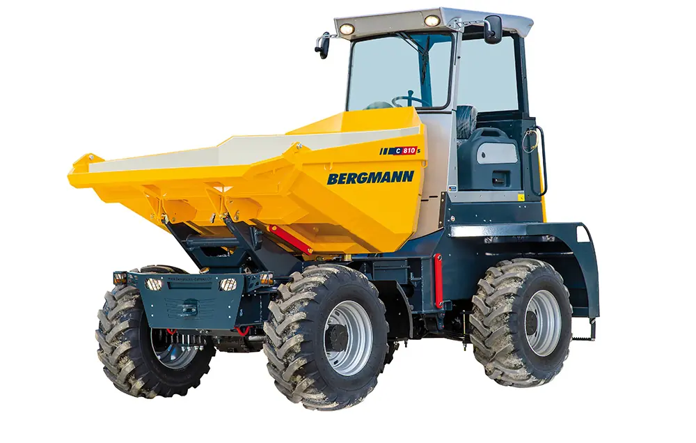 Bergmann C810s/B