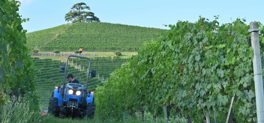 Landini Rex 3-070F thumbnail 4