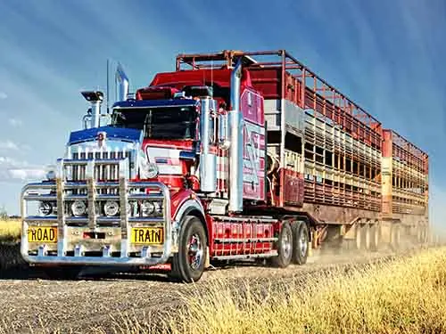 Kenworth T909 36” Mid roof X15 6x4