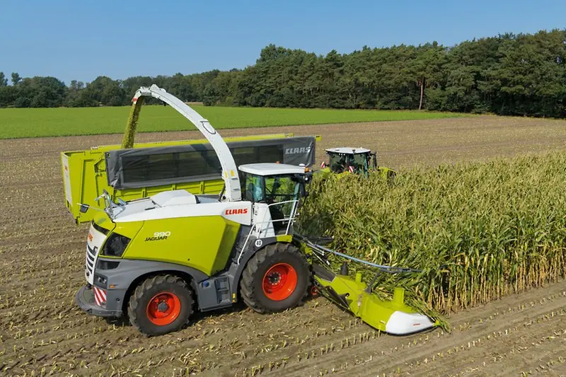 Claas Jaguar 990 thumbnail 4
