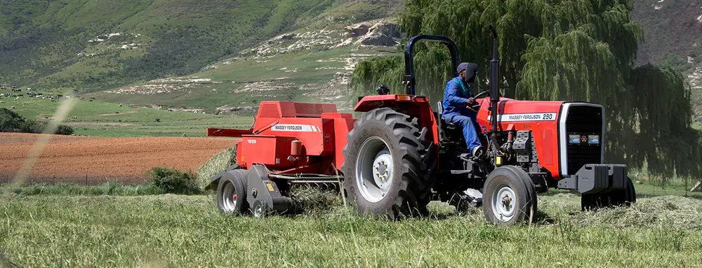 Massey Ferguson MF 290 Xtra thumbnail 2