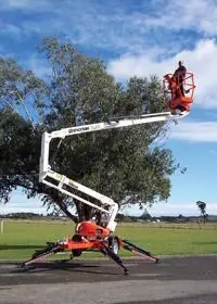 Snorkel TL39DC