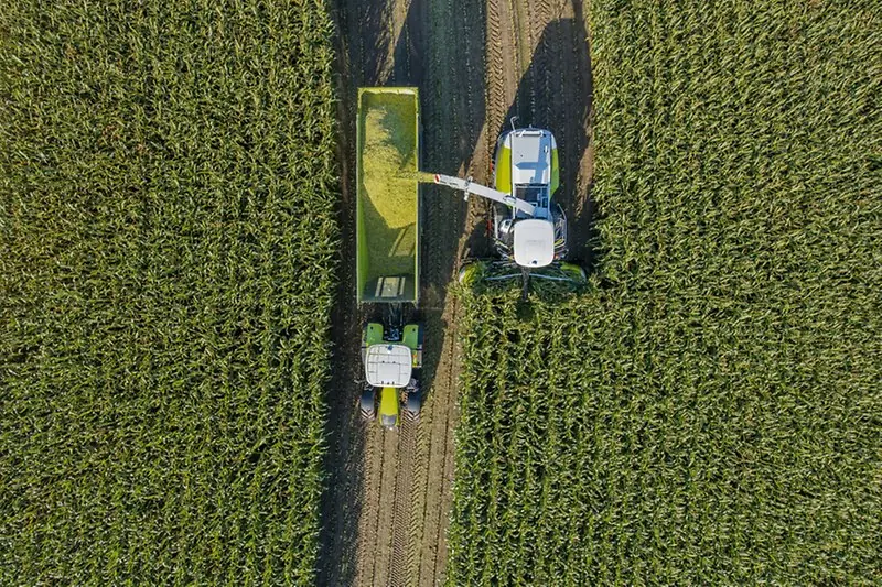 Claas Jaguar 840