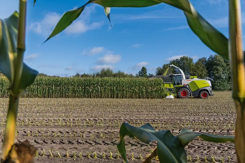 Claas Jaguar 840 thumbnail 5