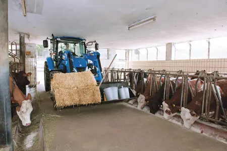 New Holland T4.75 thumbnail 11