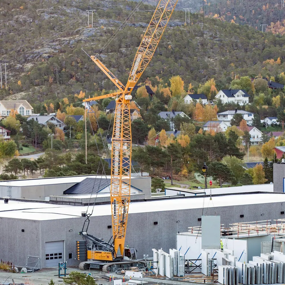 Liebherr LR 1250.1