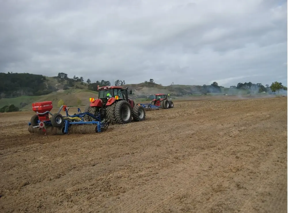 DAL-BO MaxiRoll 530