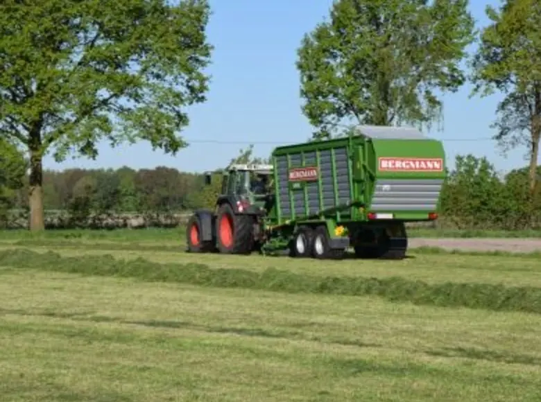 L. Bergmann Royal 280 S thumbnail 4