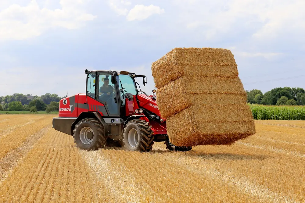Schäffer 8620 T-2 thumbnail 3