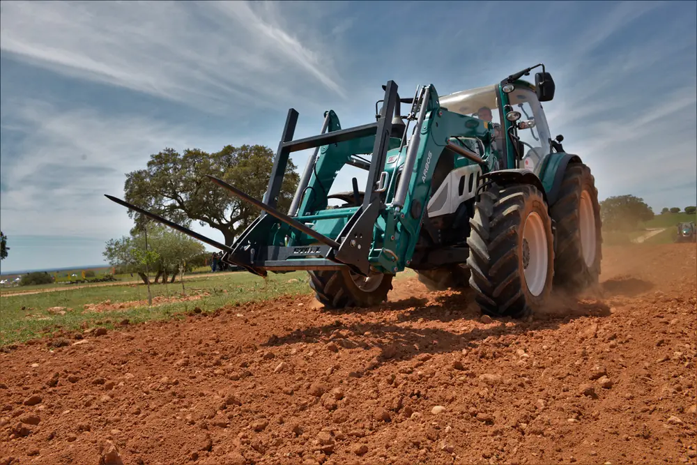 Arbos 5115