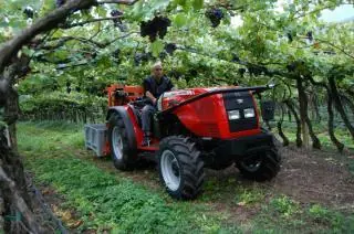 Massey Ferguson MF 3435-4 V