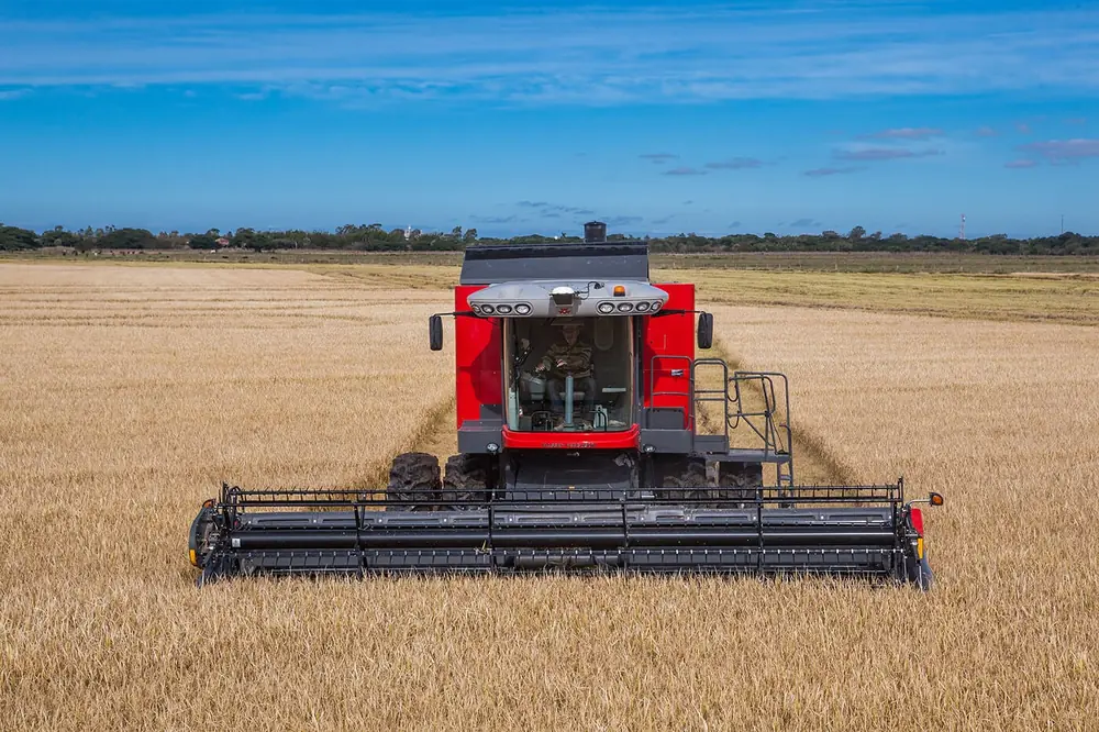 Massey Ferguson MF 4690