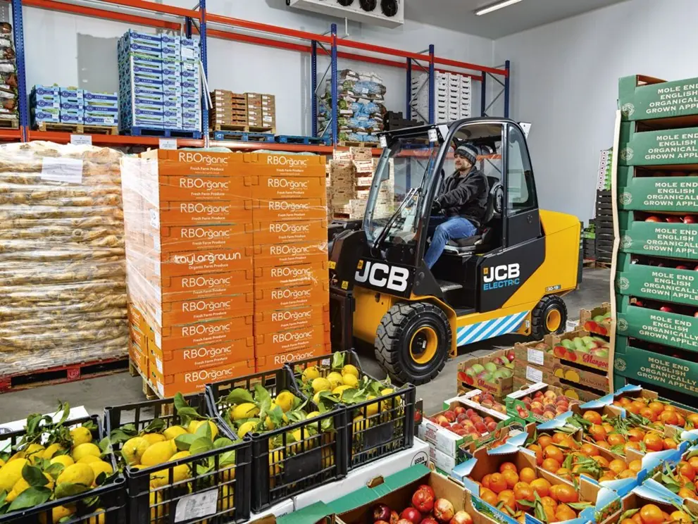 JCB 30-19E