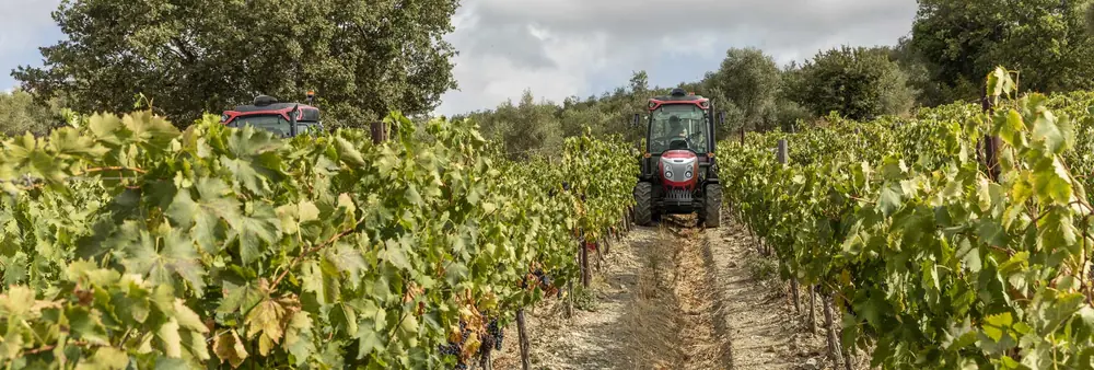 McCormick X4.110XL thumbnail 4