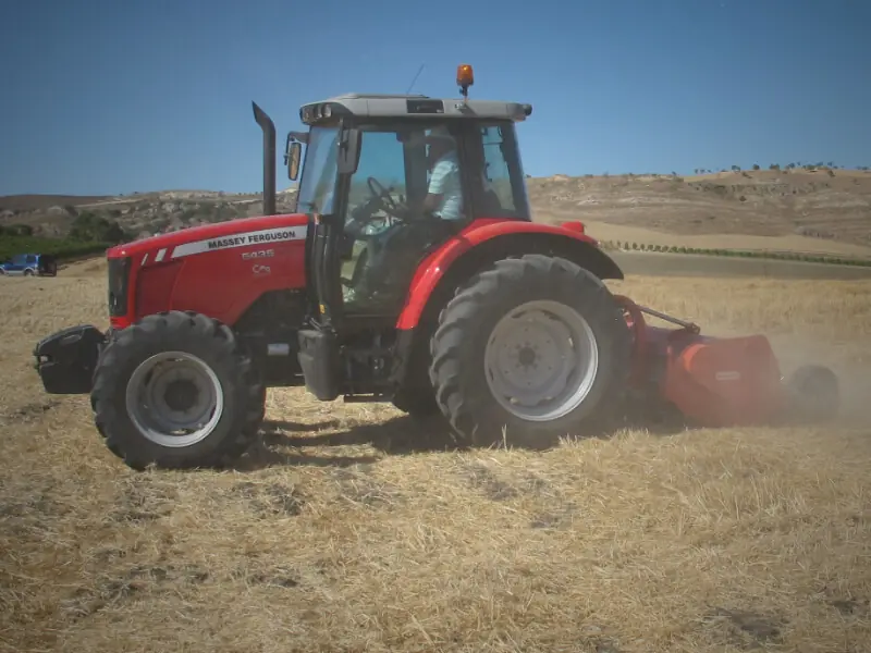 Maschio Chiara 250 F thumbnail 4