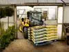 JCB 515-40 thumbnail 3