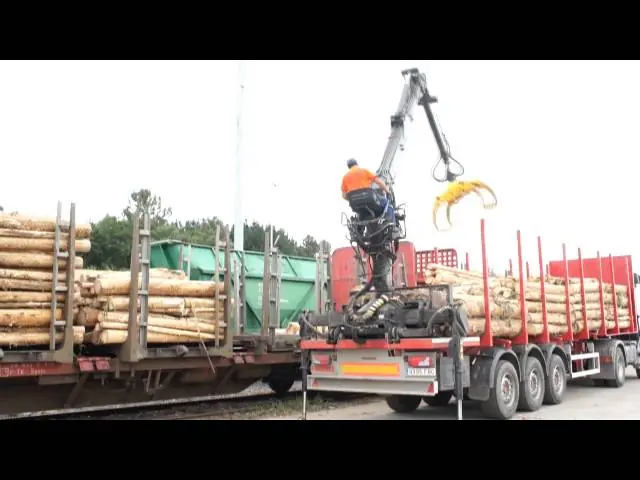 Guerra 81 N 1