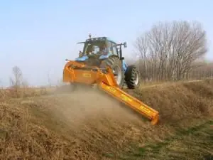 Berti Wing 200 thumbnail 2
