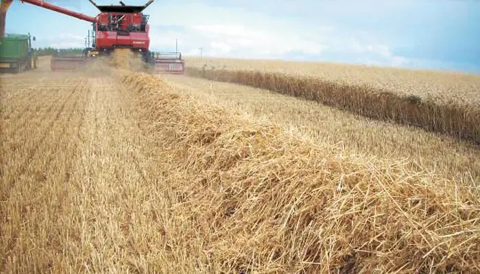 Case IH Axial Flow 8120 thumbnail 2